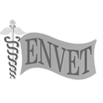 logo_Envet_Conteúdo_Conecta-otimizada logo_Envet_Conteúdo_Conecta-otimizada